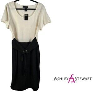Ashley Stewart Women's Plus Size Belted Colorblock Dress Size 14/16 Eggnog NWT